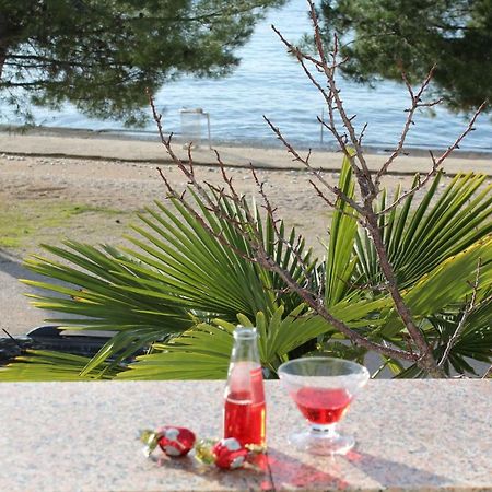 Diklo Beach Apartments Robert & Renata Zadar Dış mekan fotoğraf
