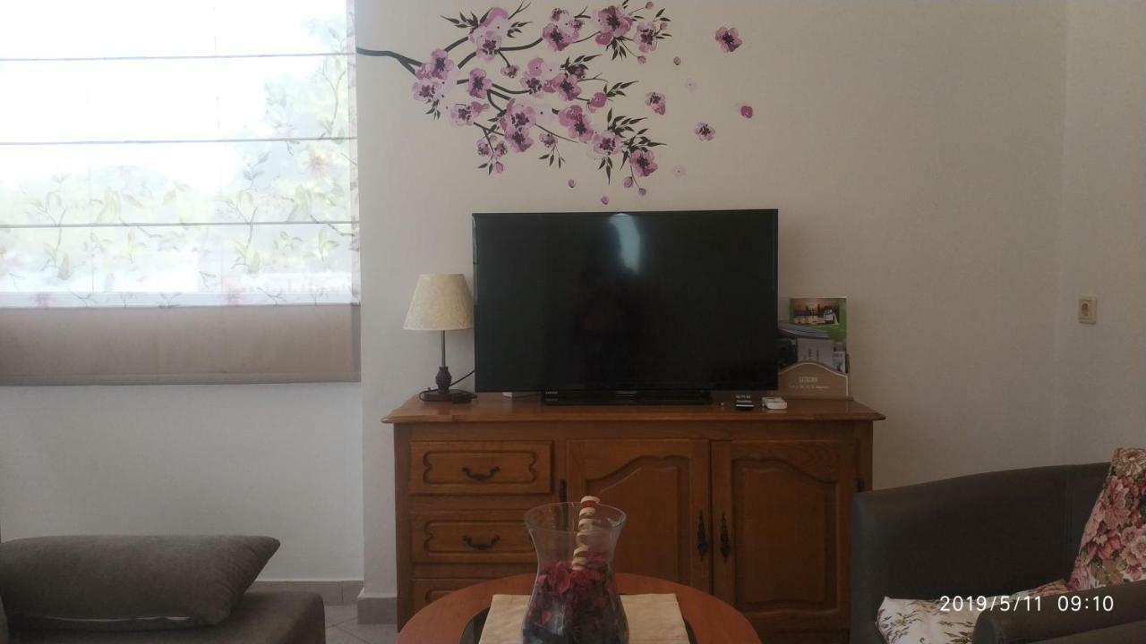 Diklo Beach Apartments Robert & Renata Zadar Dış mekan fotoğraf